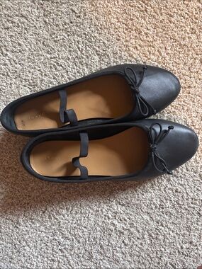 Quince ballet flats size 10